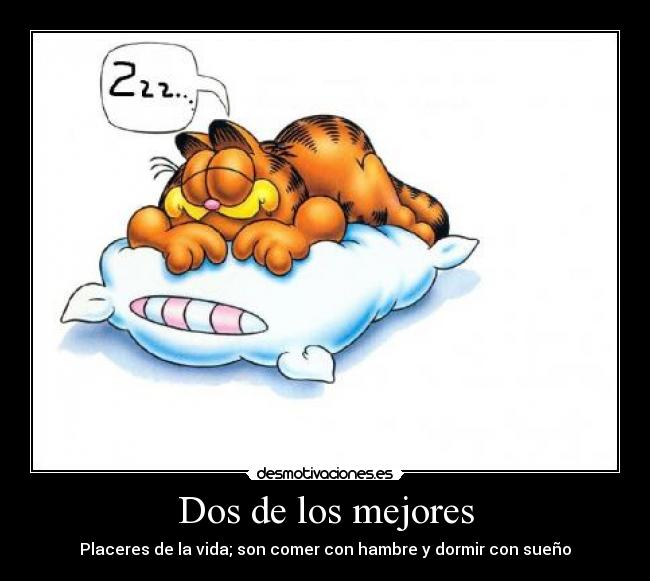 carteles adonissilva desmotivaciones