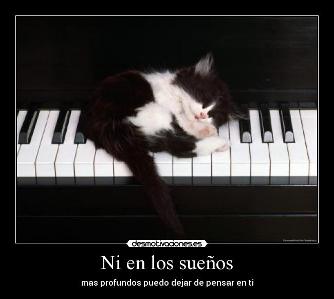 Ni en los sueños - 