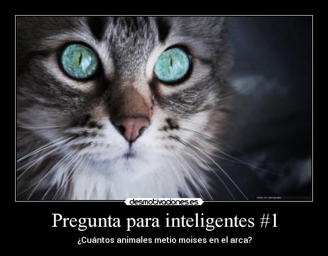 carteles sabeis voteis sino preguntaar ewe amo mucho june88 desmotivaciones