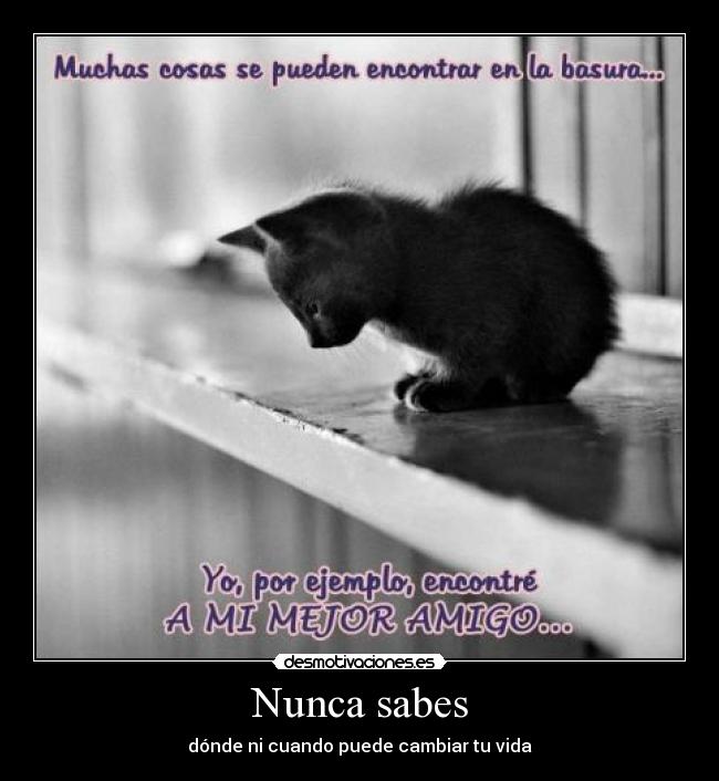 Nunca sabes -