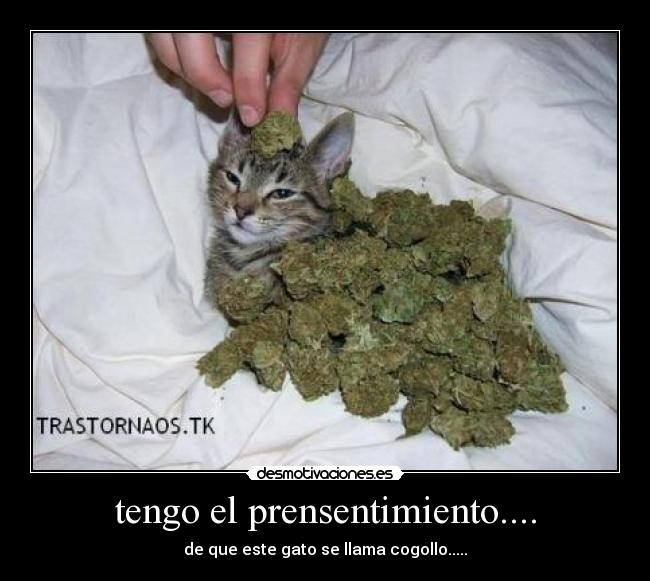 tengo el prensentimiento.... - 