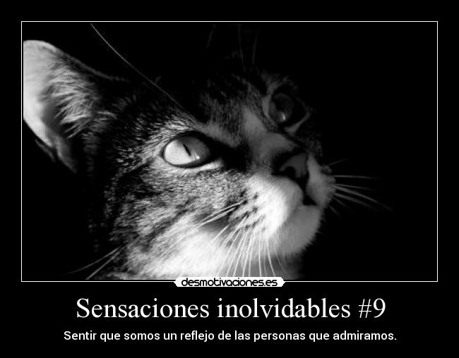 carteles sentir que somos reflejo las personas que admiramos sensaciones inolvidables gatosfoto desmo desmotivaciones