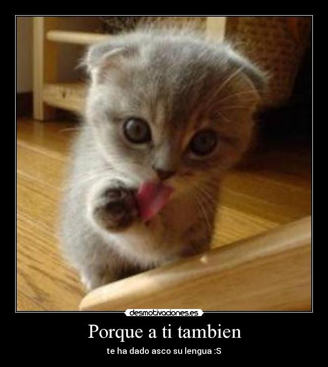 Porque a ti tambien - te ha dado asco su lengua :S