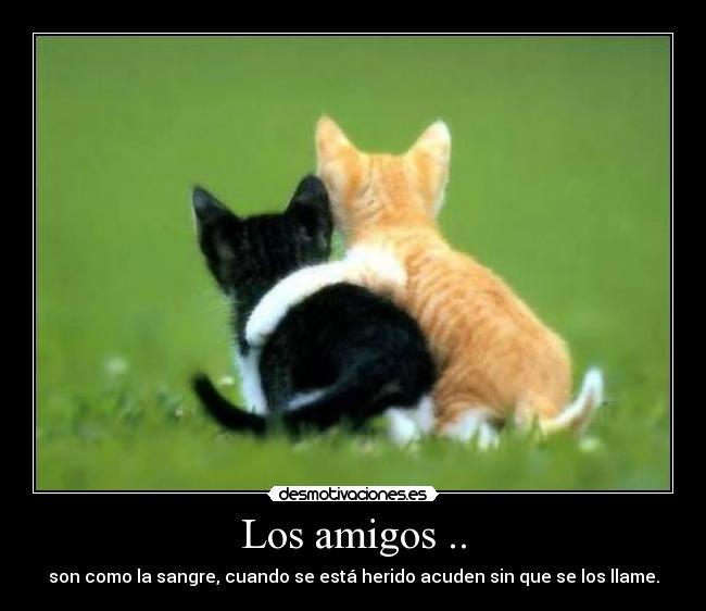 Los amigos .. - son como la sangre, cuando se está herido acuden sin que se los llame.