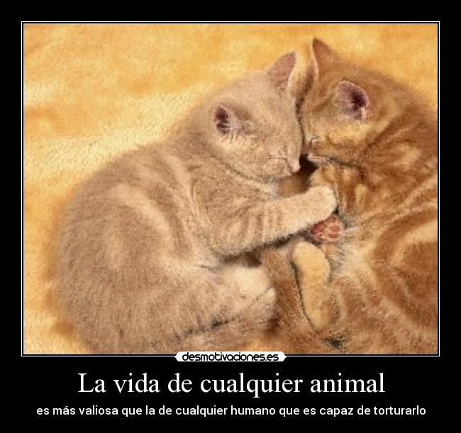 La vida de cualquier animal -