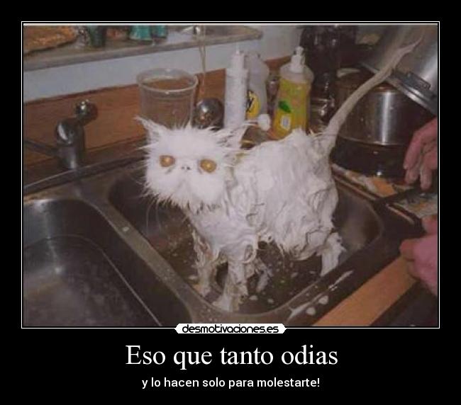 Eso que tanto odias - 