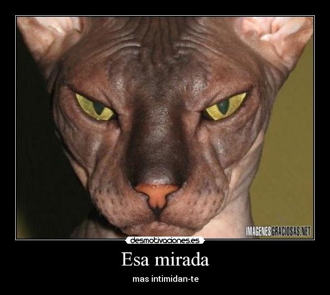 Esa mirada - mas intimidan-te
