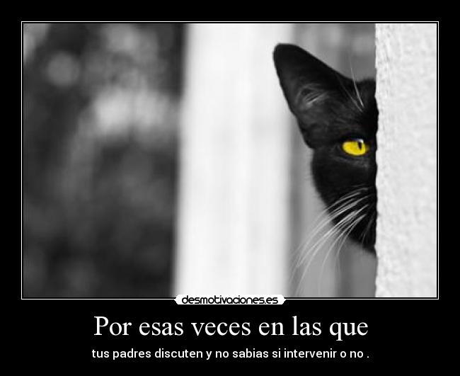 Por esas veces en las que - tus padres discuten y no sabias si intervenir o no .