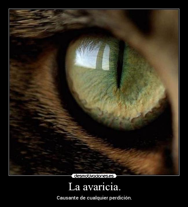 La avaricia. - Causante de cualquier perdición.