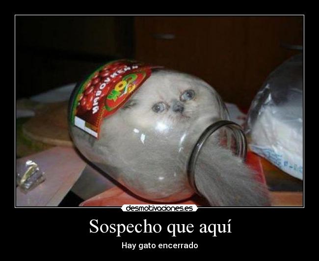 Sospecho que aquí - 