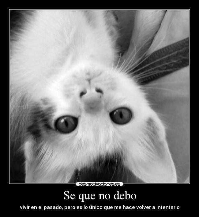 carteles propia pasado desmotivaciones