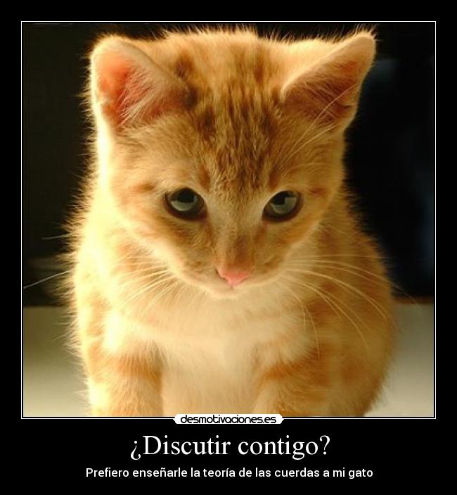 ¿Discutir contigo? - 