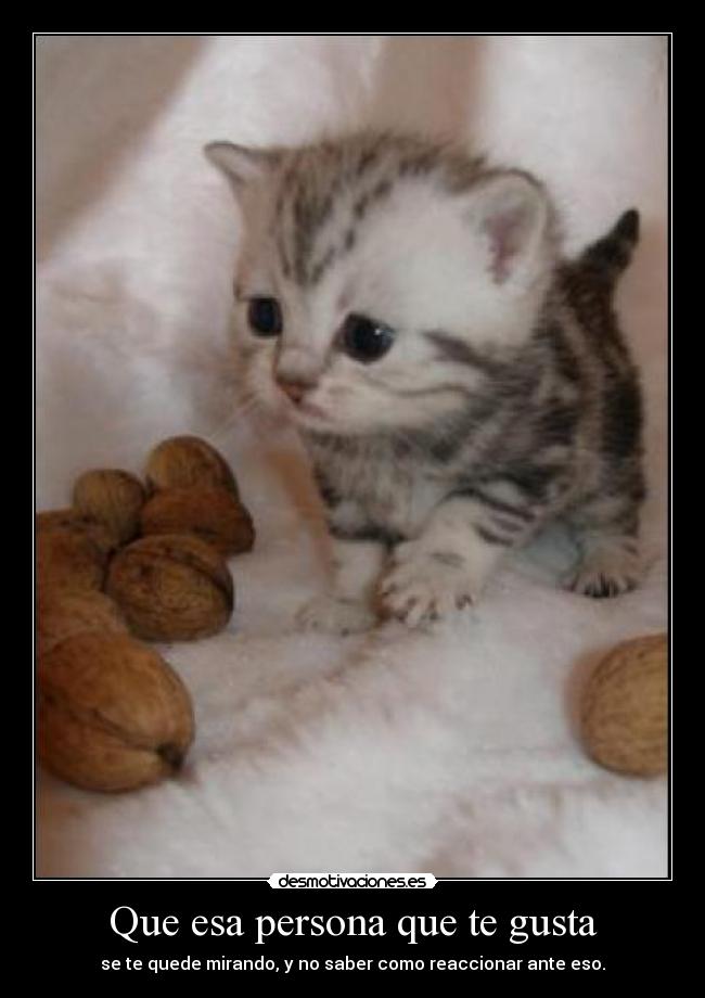 Que esa persona que te gusta - se te quede mirando, y no saber como reaccionar ante eso.