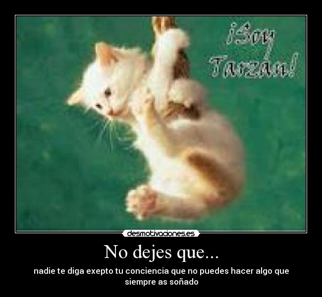 No dejes que... - nadie te diga exepto tu conciencia que no puedes hacer algo que siempre as soñado