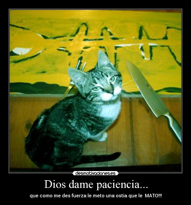 Dios dame paciencia... - que como me des fuerza le meto una ostia que le  MATO!!!