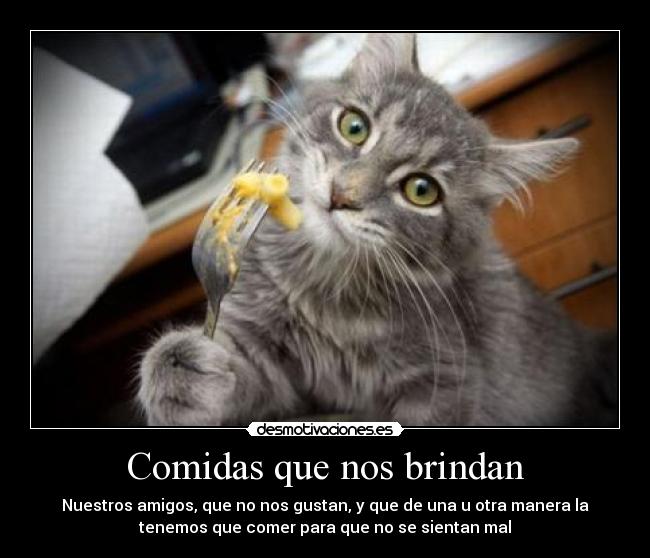 Comidas que nos brindan - Nuestros amigos, que no nos gustan, y que de una u otra manera la
tenemos que comer para que no se sientan mal