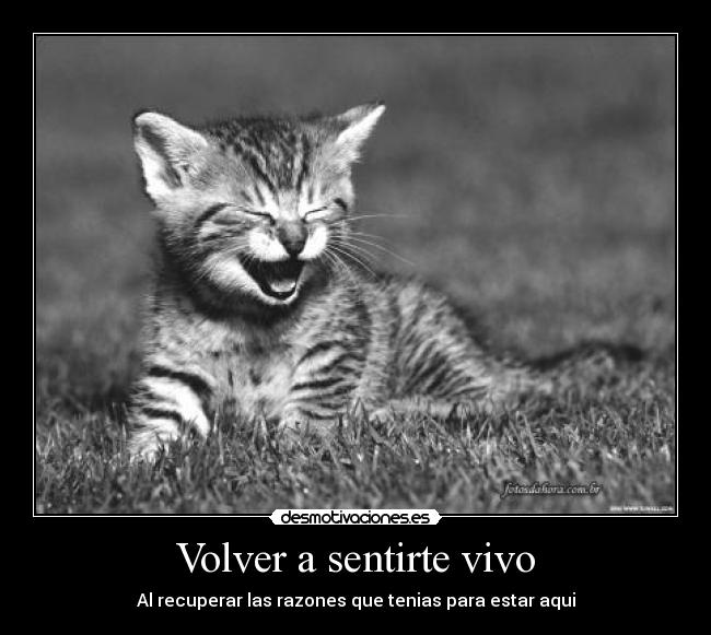 Volver a sentirte vivo - Al recuperar las razones que tenias para estar aqui