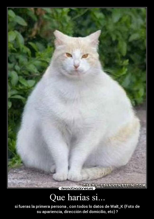 Que harías si... - si fueras la primera persona , con todos lo datos de Walt_K (Foto de
su apariencia, dirección del domicilio, etc) ?