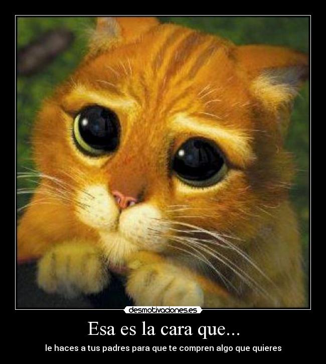 GATITO DE SHREK gatito de shrek: