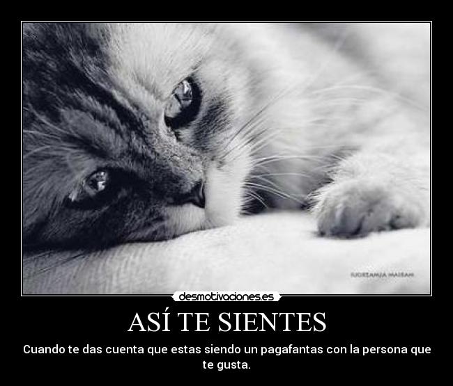 ASÍ TE SIENTES - Cuando te das cuenta que estas siendo un pagafantas con la persona que te gusta.