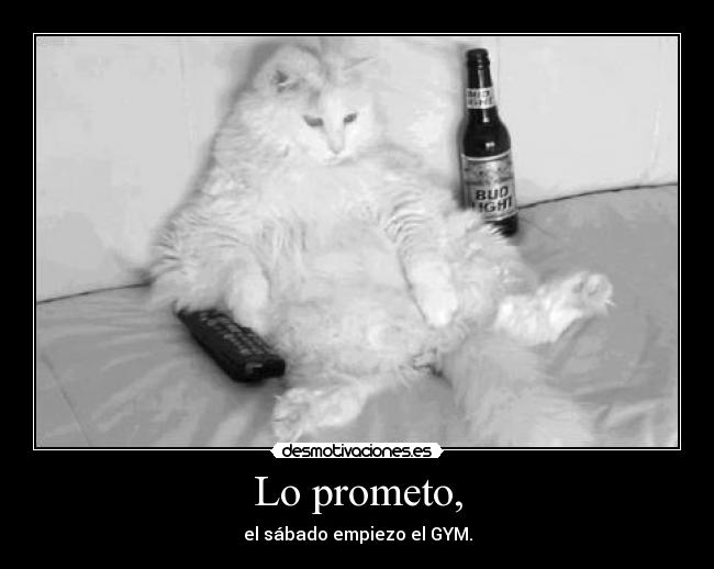 Lo prometo, - el sábado empiezo el GYM.