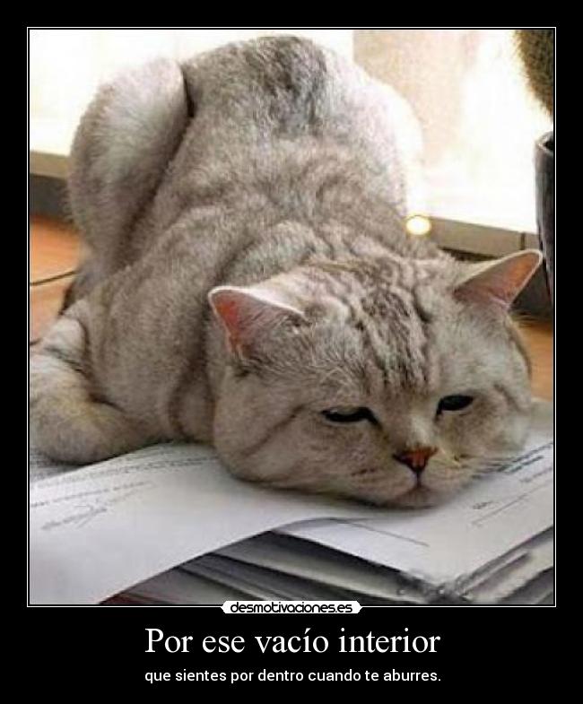 carteles aburrimiento aburro quiero hacer algo llueve puedo salir comprate burro dichosa frase desmotivaciones