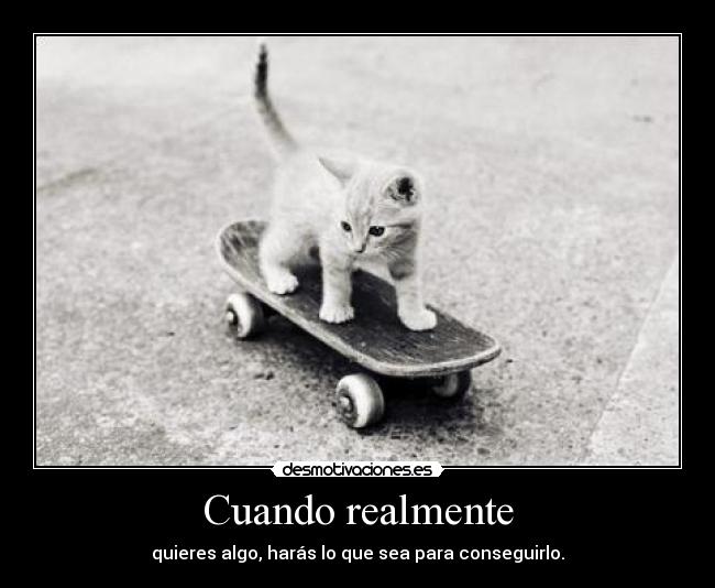 Cuando realmente - 