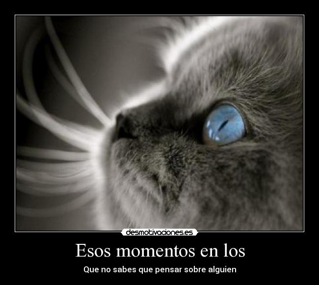 Esos momentos en los - Que no sabes que pensar sobre alguien