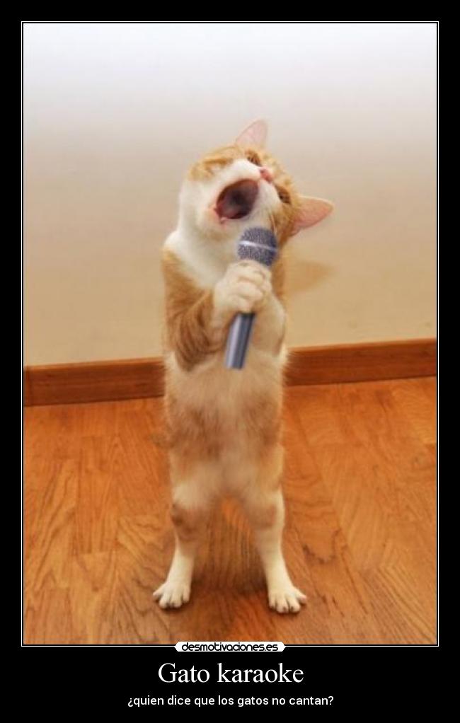 Gato karaoke - ¿quien dice que los gatos no cantan?