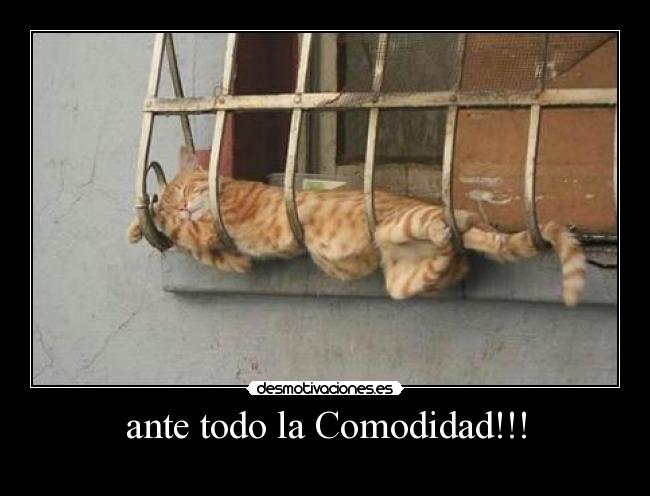 ante todo la Comodidad!!! -