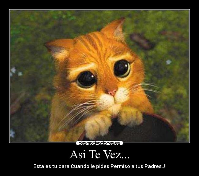 Asi Te Vez... - Esta es tu cara Cuando le pides Permiso a tus Padres..!!