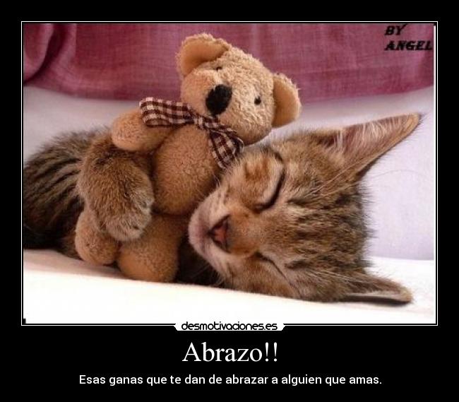 carteles abraxo desmotivaciones