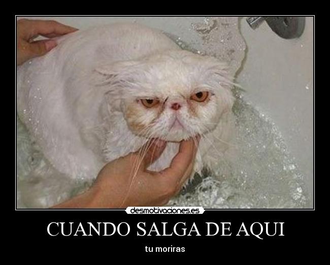 CUANDO SALGA DE AQUI - tu moriras