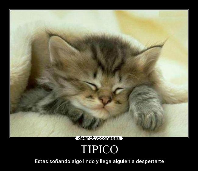 TIPICO -