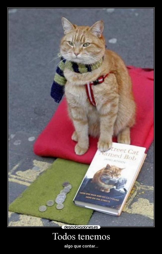 carteles sigueme twitter cuenta lgns desmotivaciones