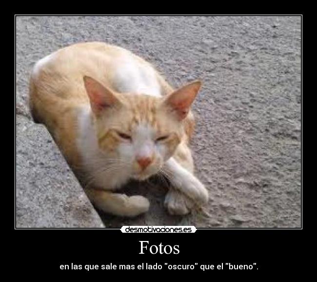 Fotos - en las que sale mas el lado oscuro que el bueno.