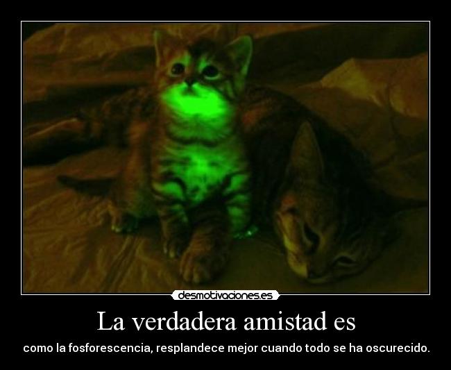 La verdadera amistad es - 