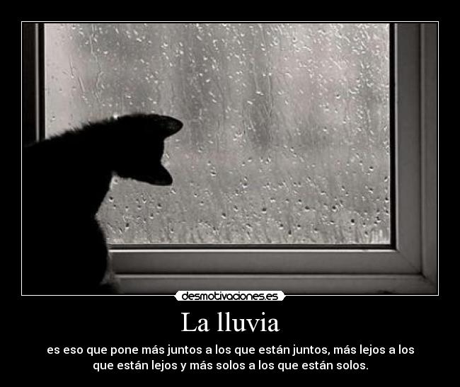 La lluvia - es eso que pone más juntos a los que están juntos, más lejos a los
que están lejos y más solos a los que están solos.