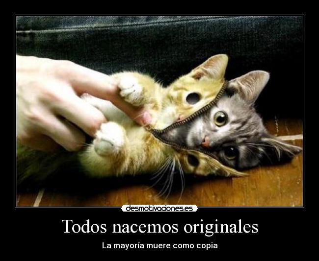 Todos nacemos originales - 