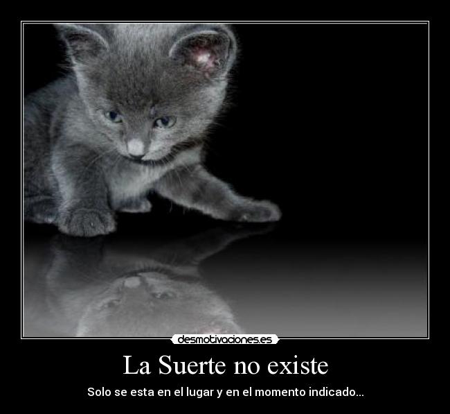 La Suerte no existe - 