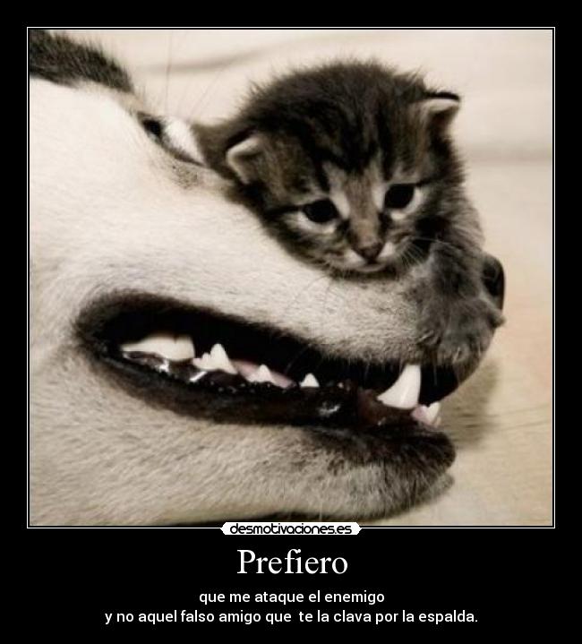 Prefiero - que me ataque el enemigo
y no aquel falso amigo que te la clava por la espalda.