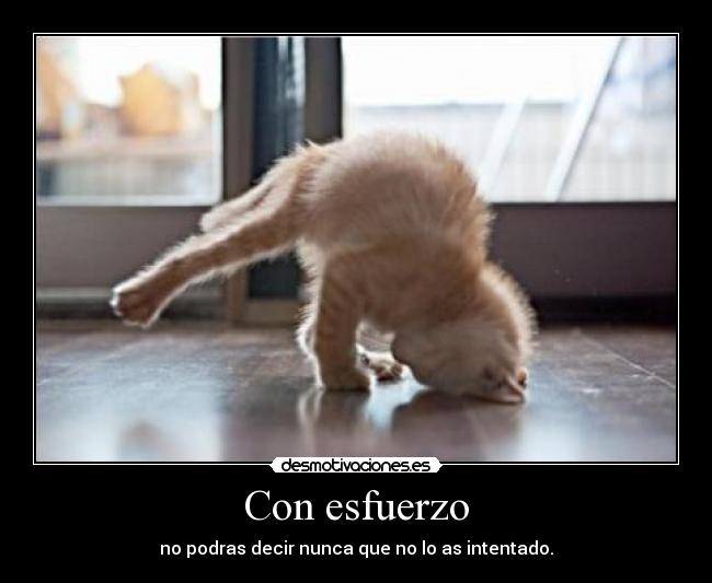 Con esfuerzo - no podras decir nunca que no lo as intentado.
