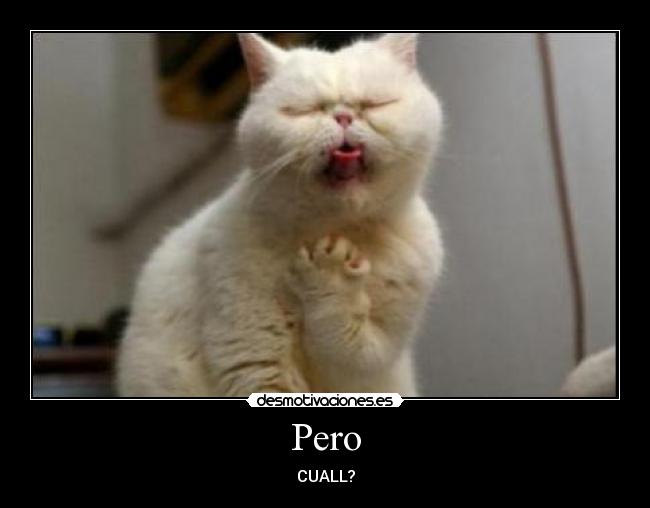 Pero - CUALL?