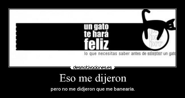 carteles eso dijeron cavediver significa buceador cuevas cadiz desmotivaciones