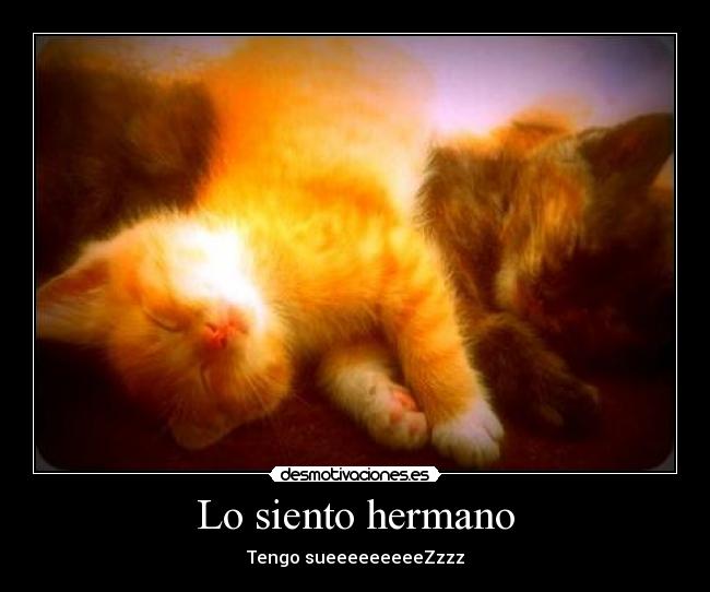 Lo siento hermano - 