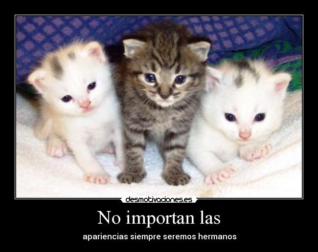 No importan las -