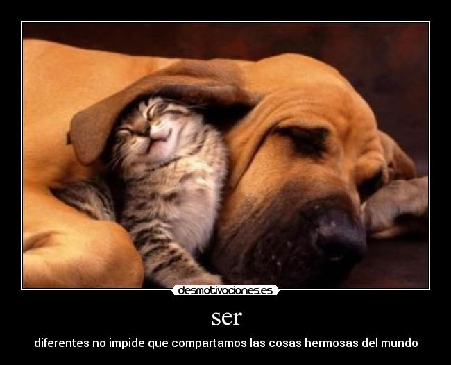 ser - diferentes no impide que compartamos las cosas hermosas del mundo