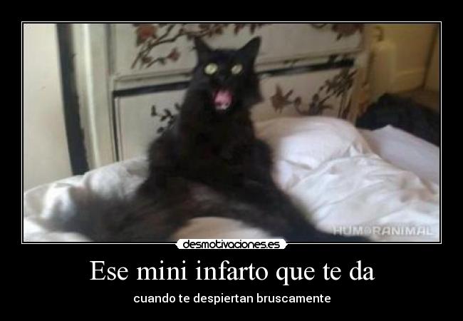 carteles ese mini infarto desmotivaciones