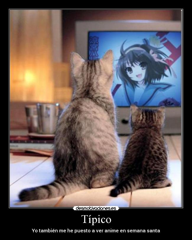 Típico - Yo también me he puesto a ver anime en semana santa