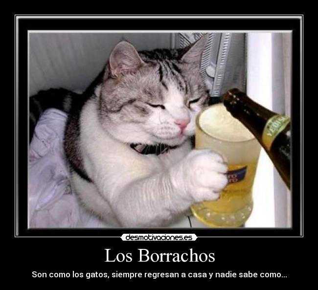 Los Borrachos - Son como los gatos, siempre regresan a casa y nadie sabe como...